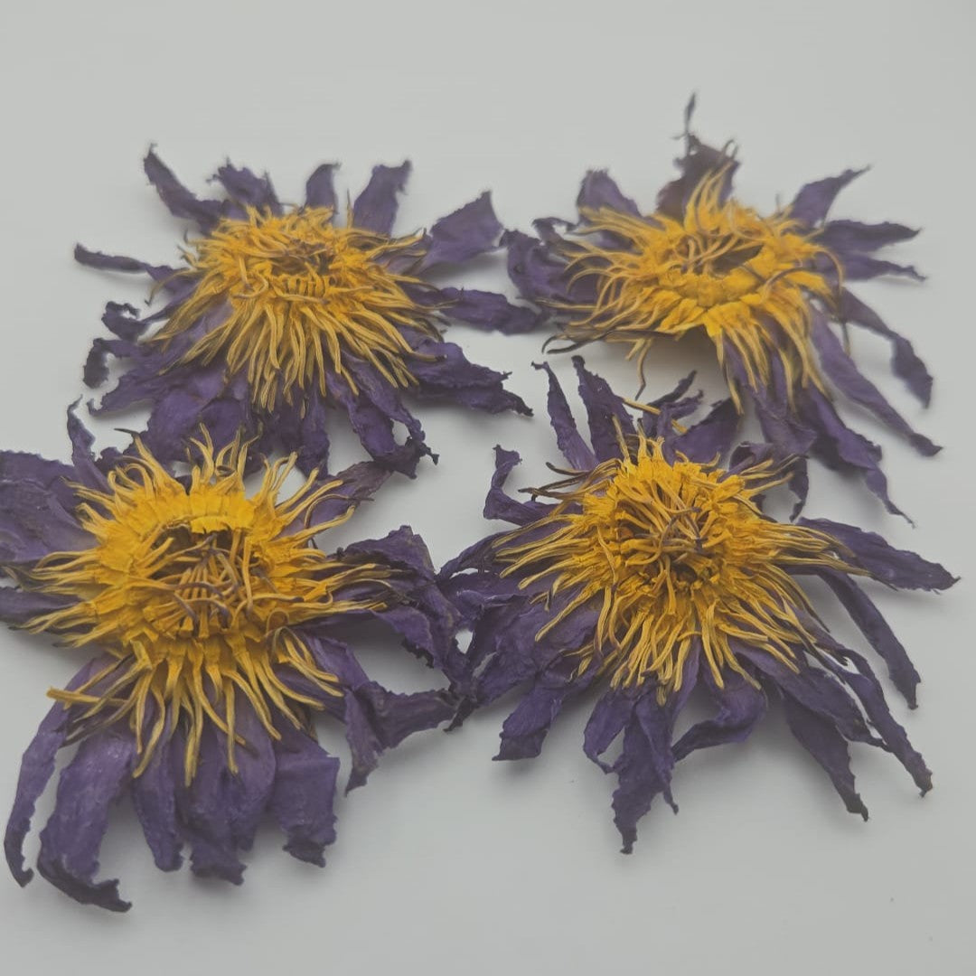 Blue Lotus Whole Flower
