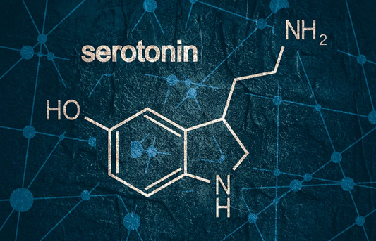 What does SEROTONIN do?