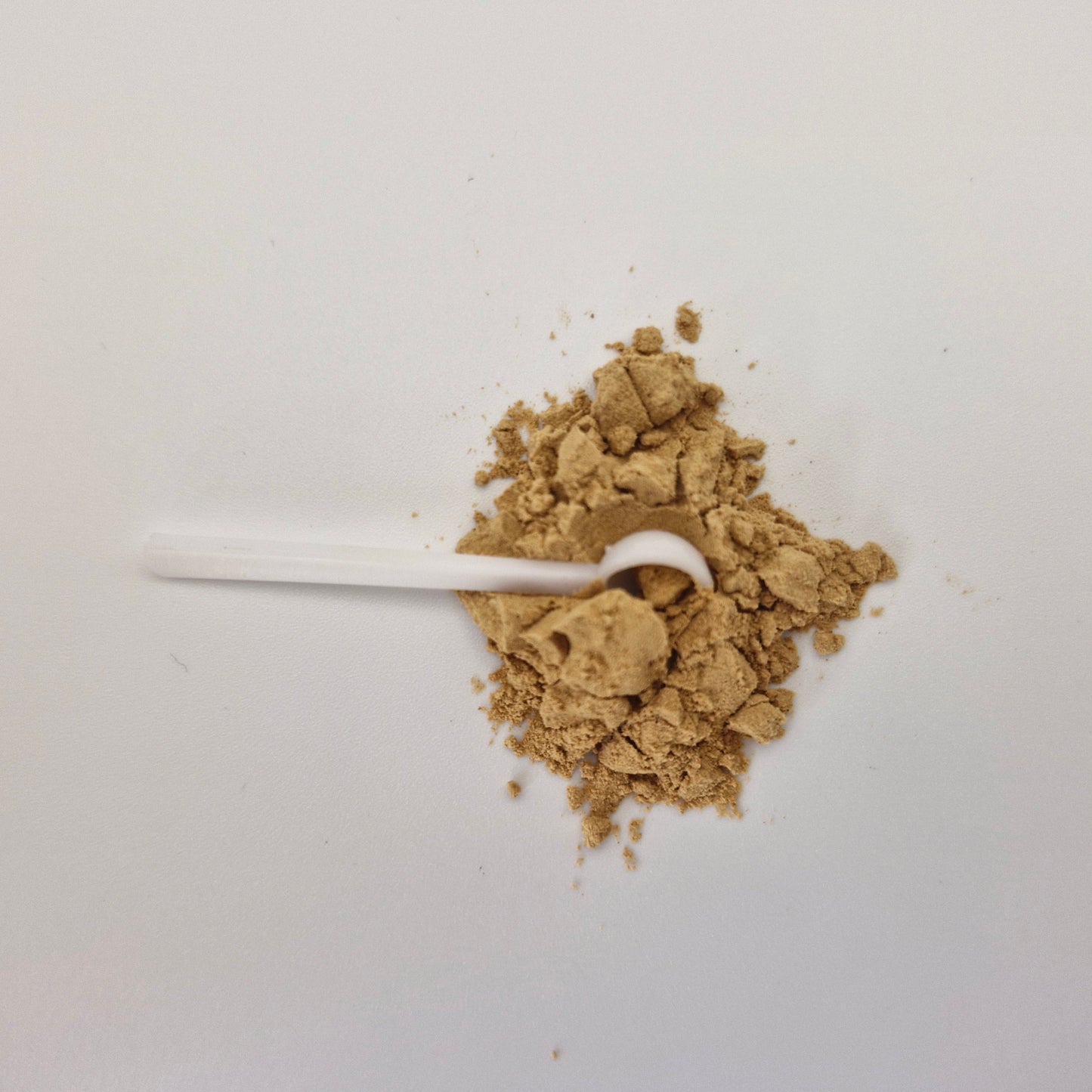 Photo of Blue Lotus extract powder from the top with a white spoon.