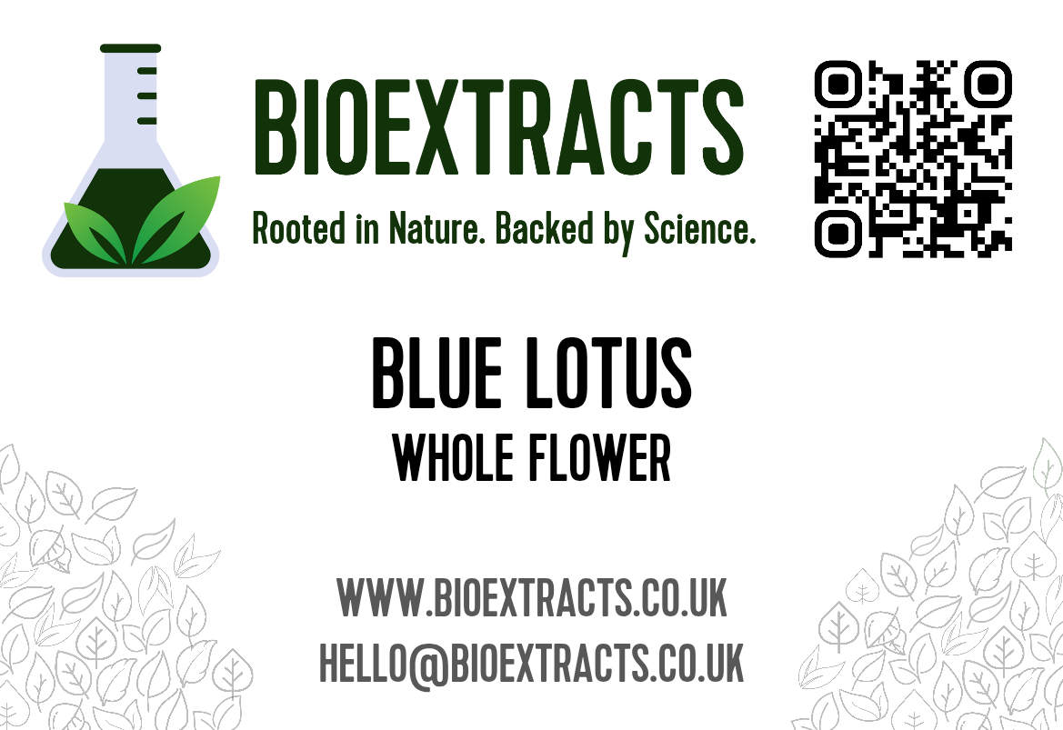 Blue Lotus Whole Flower