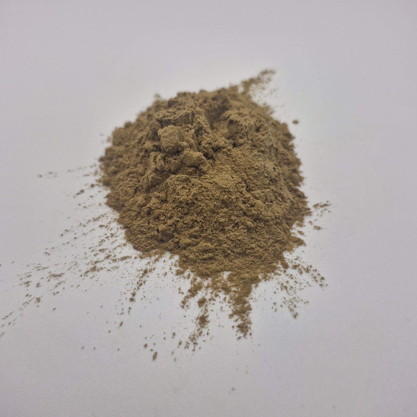 Photo of Bacopa Monnieri extract powder from the front.