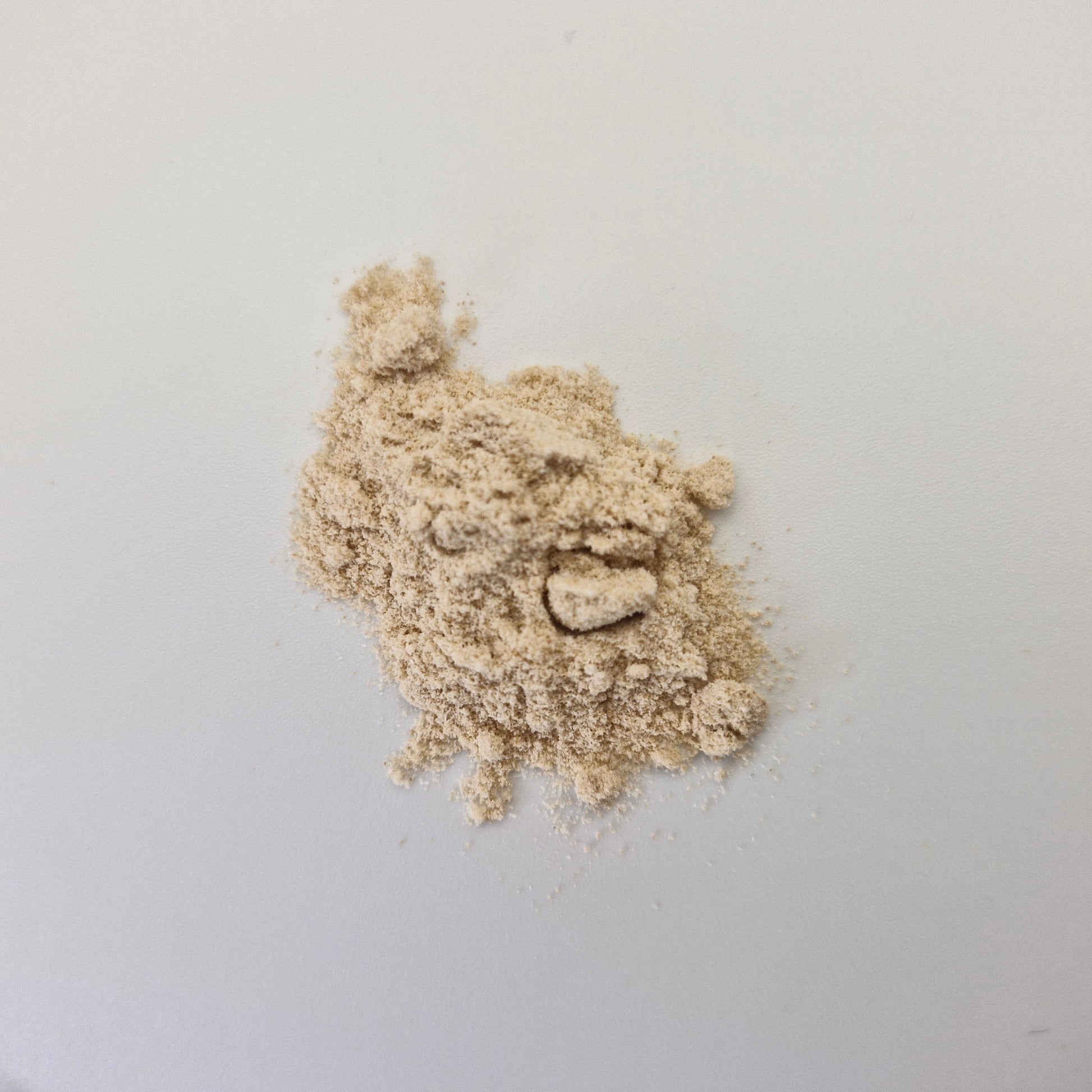 Photo of Native Sceletium extract powder from the top.