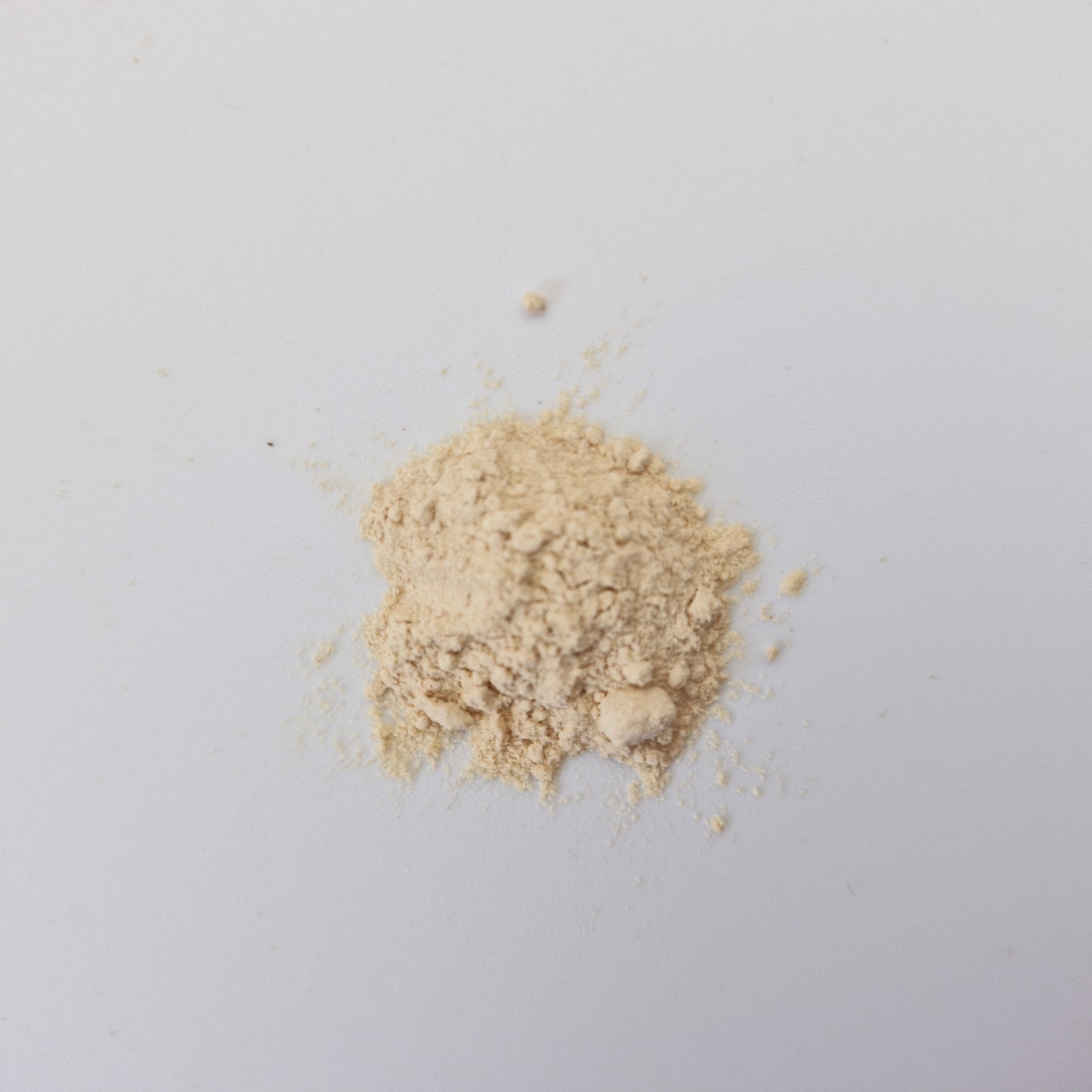 Photo of Rush Sceletium extract powder from the top.